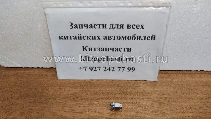 Гайка колесная HAVAL H6 COUPE 3101014XKS00A